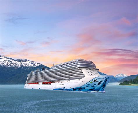 Cruise Experience